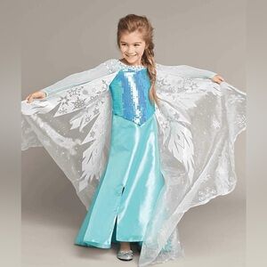 Chasing fireflies Elsa costume
